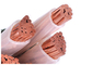 5 πυρήνας 95 υπόγειο XLPE IEC 60502 καλωδίων μόνωσης χιλ. ² Unarmored προμηθευτής