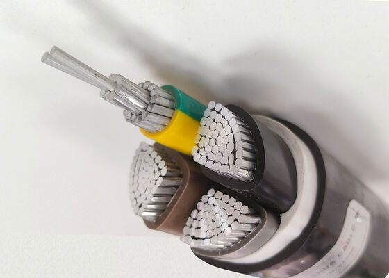 RVV 2x2.5mm2 Flexible Oxygen-Free Copper PVC Insulated Sheathed Cable for Home Appliance 300/500V