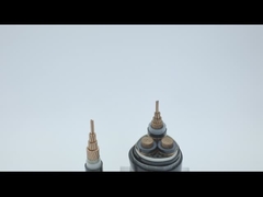 600V θωρακισμένο ηλεκτρικό καλώδιο PVC χαλκού