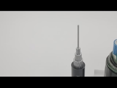 SWA AWA ο θωρακισμένος χαλκός 100m PVC μήκους ετύλιξε το προσαραγμένο καλώδιο