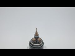 SWA AWA ο θωρακισμένος χαλκός 100m PVC μήκους ετύλιξε το προσαραγμένο καλώδιο