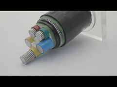 SWA AWA ο θωρακισμένος χαλκός 100m PVC μήκους ετύλιξε το προσαραγμένο καλώδιο