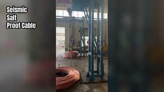 Shenghua 26 35kV Καλώδιο Seismic Salt Immune